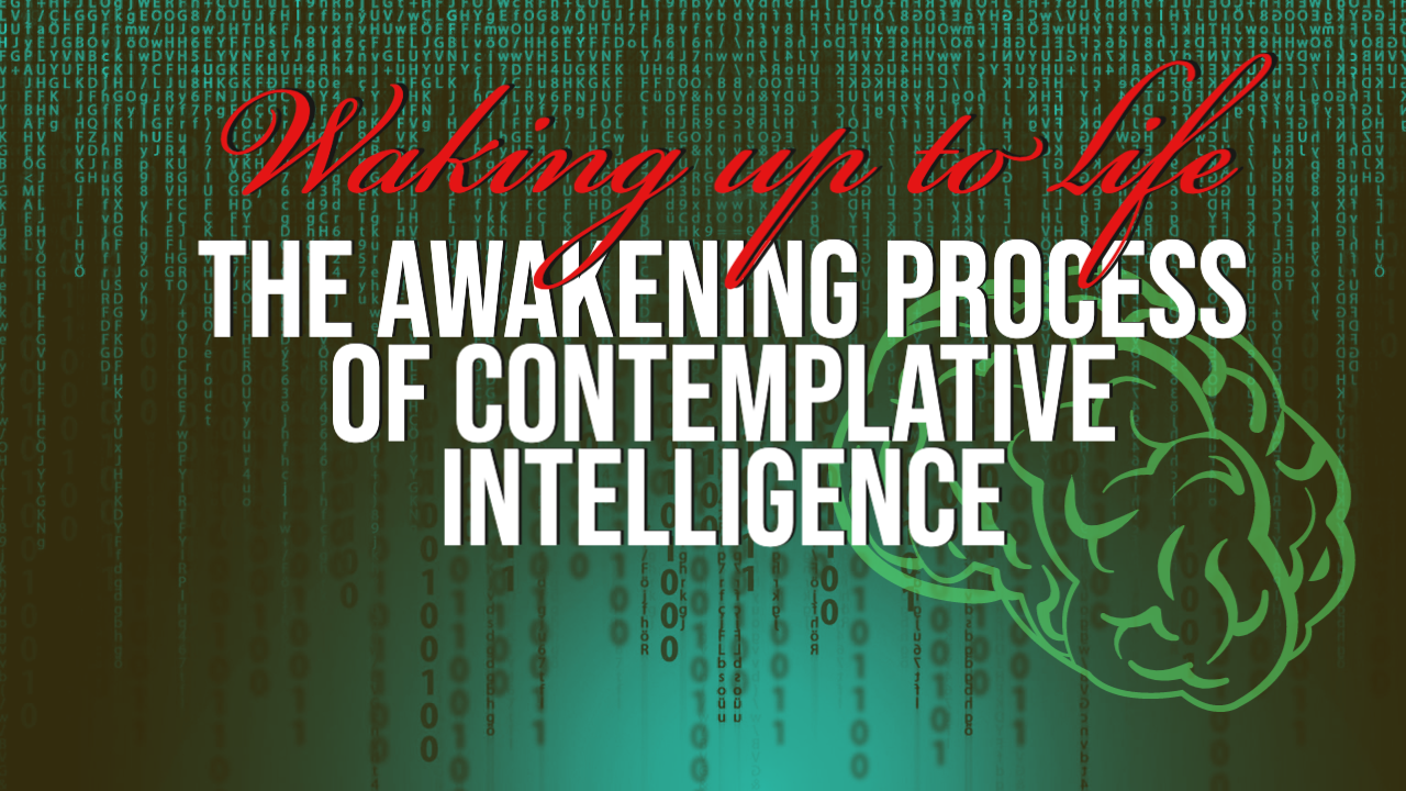 The Awakening Process of Contemplative Intelligence