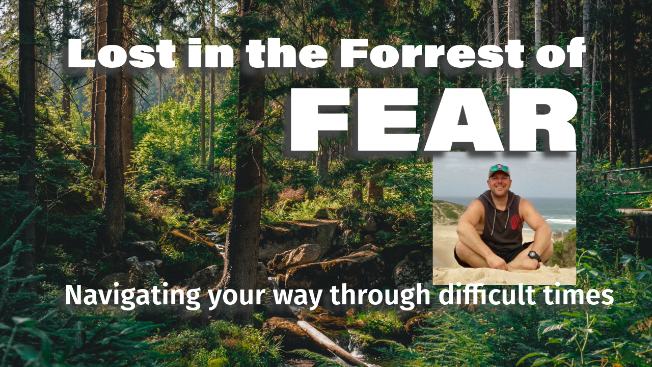 Lost in the Forrest of FEAR