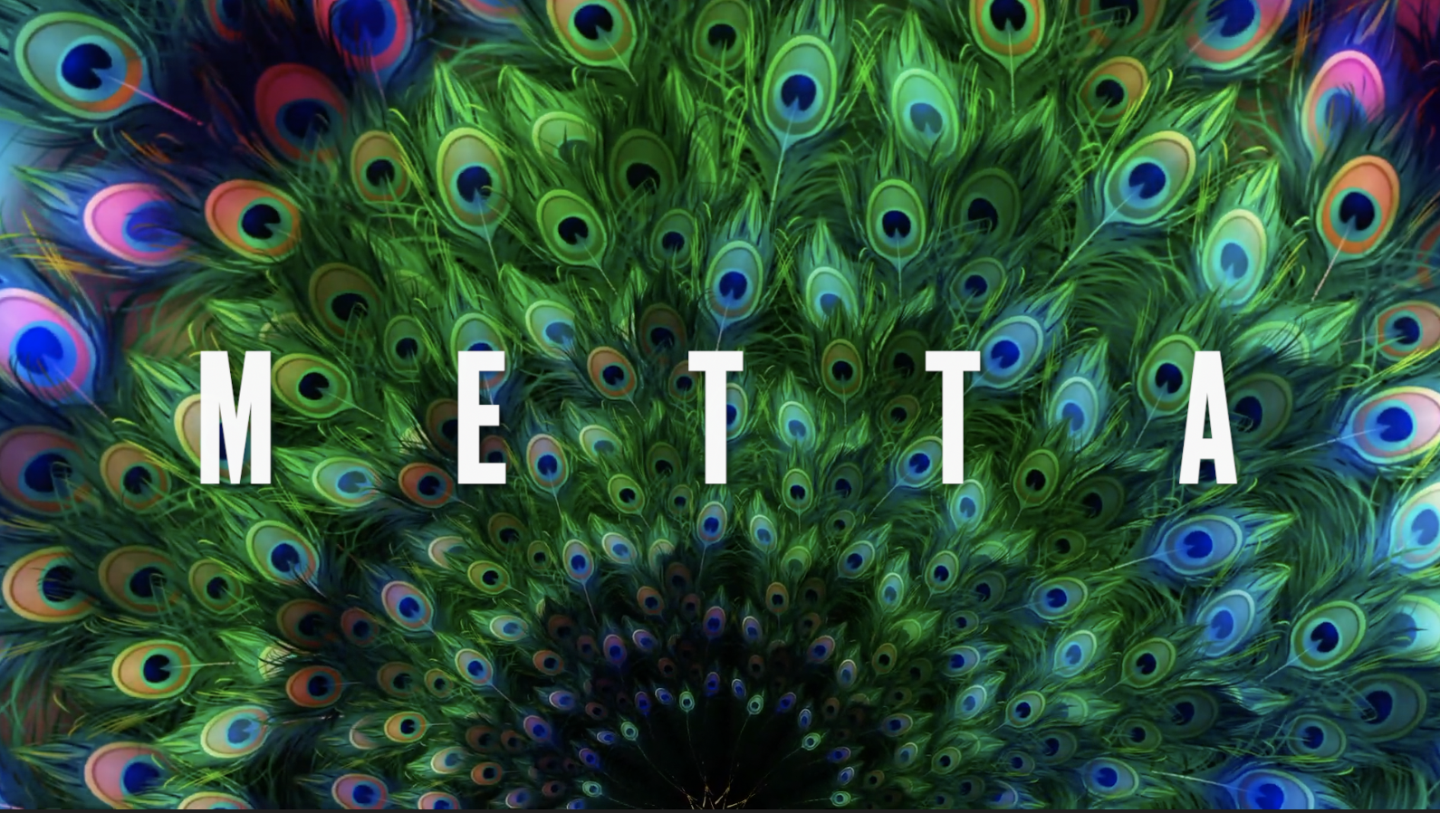 Metta Guided Healing Meditation