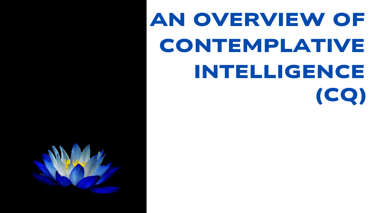 An overview of Contemplative Intelligence