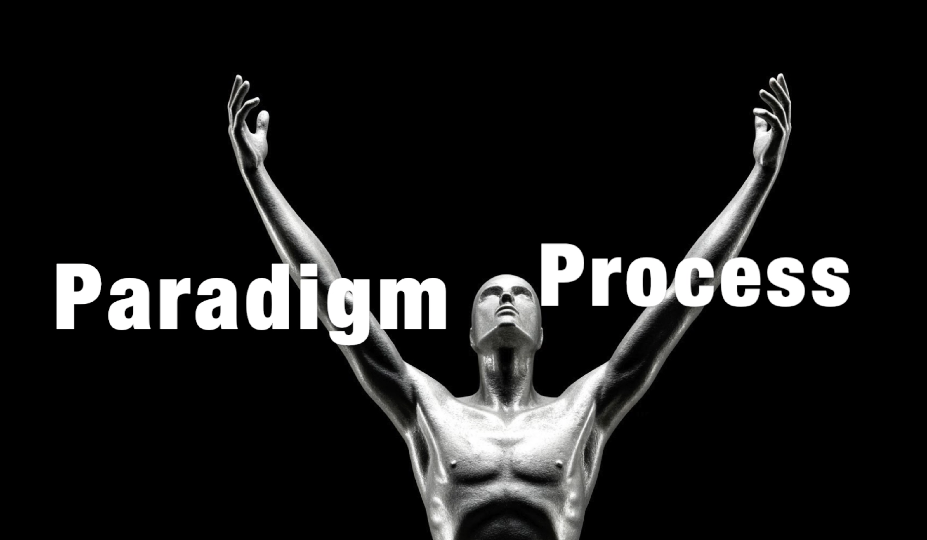 The Paradigm Process Book for therapists