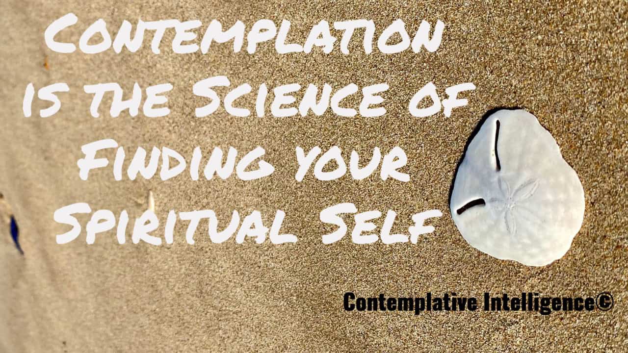 Universal Oneness & Contemplation